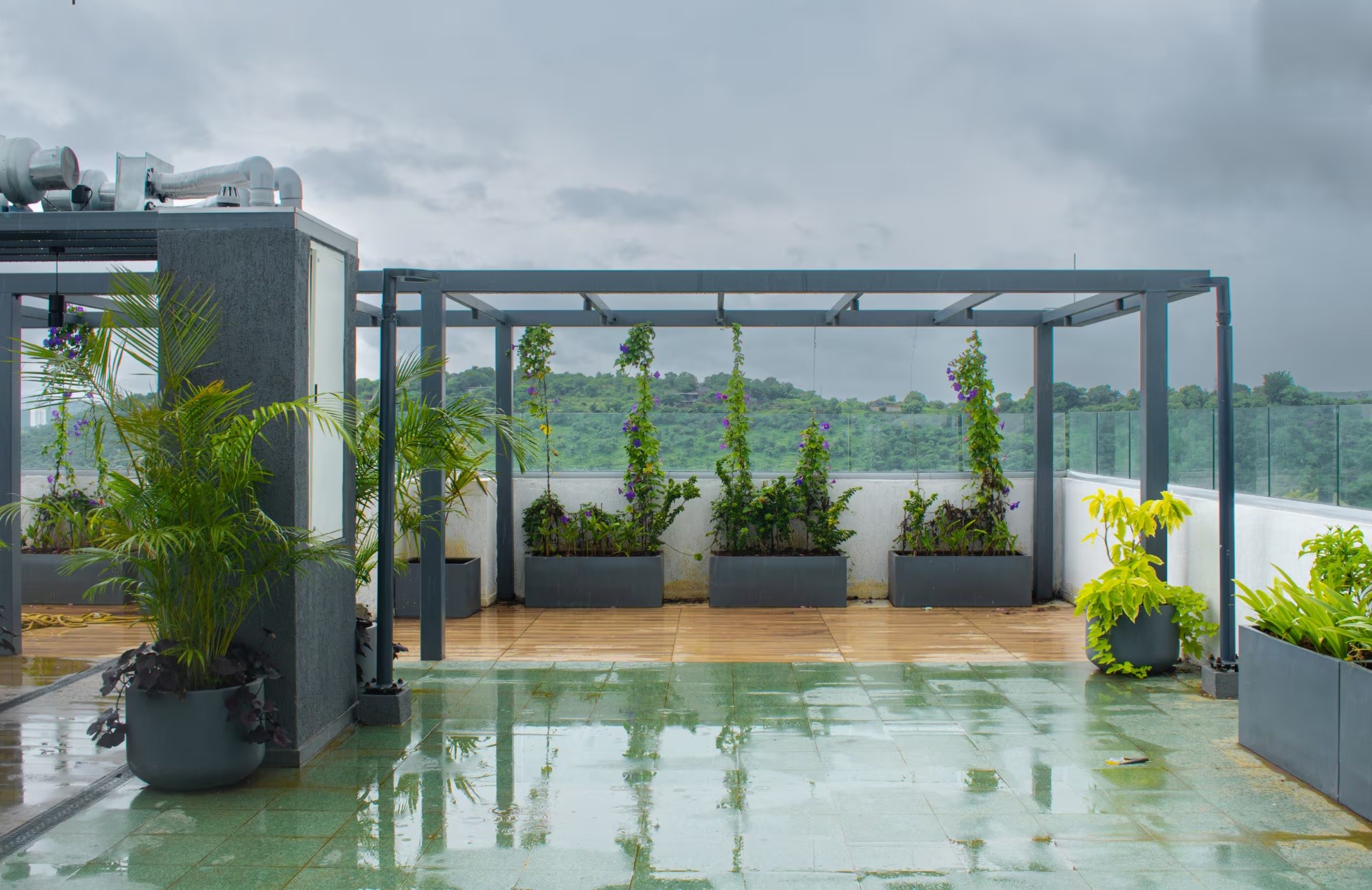 Rooftop Observation Deck
